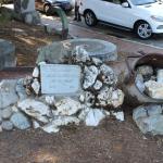 IMG_7651 (May 28, 2024)